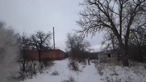 Охота на зайца русака с русскими гончими №8 часть 1