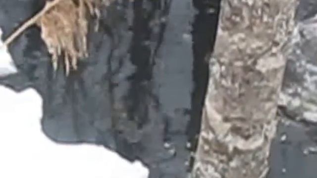 Зимний замор рыбы смотреть онлайн