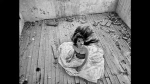 Where To Start by Lou Doillon