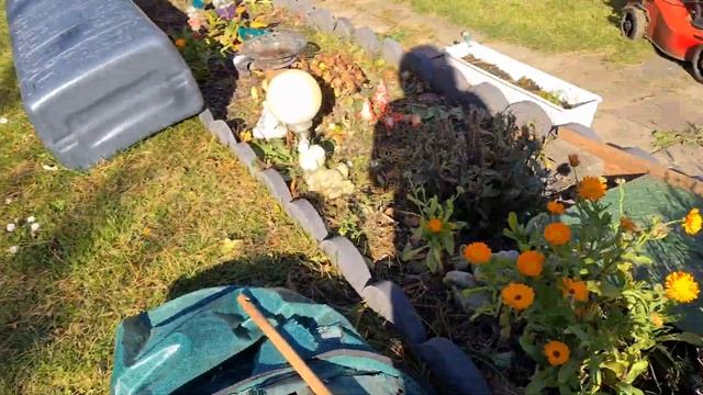 Подготовка сада к зиме в октябре, Влог, Календула смотреть онлайн