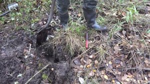 Позиция немецкой пушки на берегу Волхова.