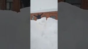 Аномально снежная зима в Майкопе 16.02.2021