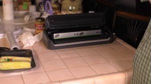 FoodSaver FM2000 Vacuum Sealer Review