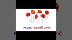 Flowers Name in English and Tamil/#flowers/Easy Learn flower names for children