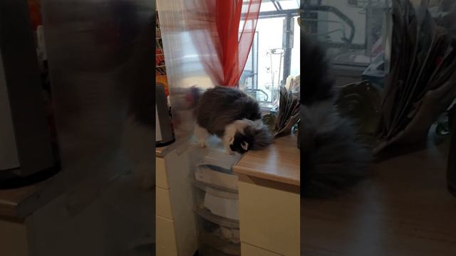 Конкурирующая фирма смотреть онлайн