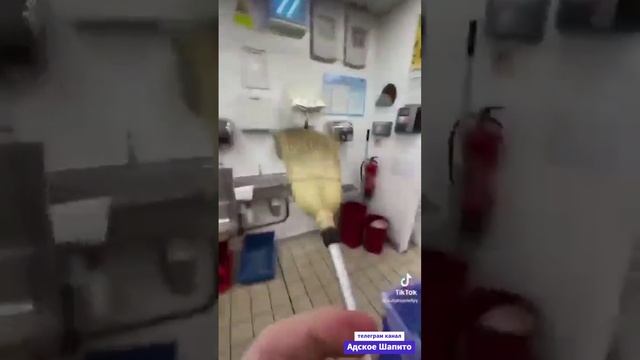 Швабра во фритюре