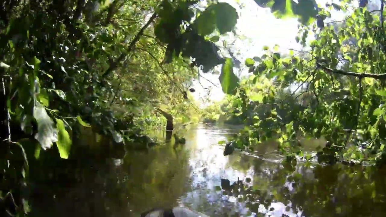 SUP сплав по реке Оскол 30 06 2024 смотреть онлайн