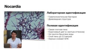 Причины пенообразования в аэротенке. Нитчатое вспухание или ПАВ?