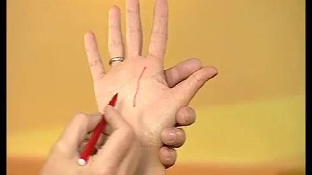Гость в студии -  Геннадий Невзоров