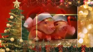 Барбарики - Это Новый год ! ʕ•ᴥ•ʔ