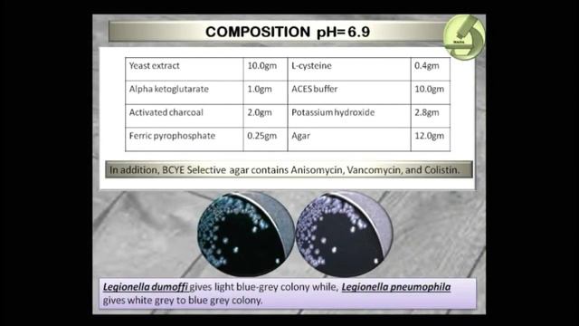 Culture Media | An Overview Of 26 Solid Culture Media/Agar Used In The Microbiology Lab. смотреть онлайн