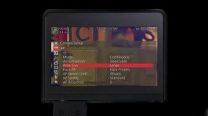 Обзор камеры Canon C300 Mark II