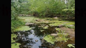 Село Нижняя Санарка