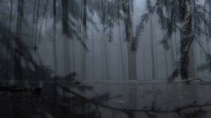 Шум дождя - звуки природы слушать