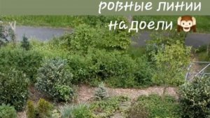 Ровные линии газона или извилистые? За последние три года стала специалистом по бордюрам и линиям
