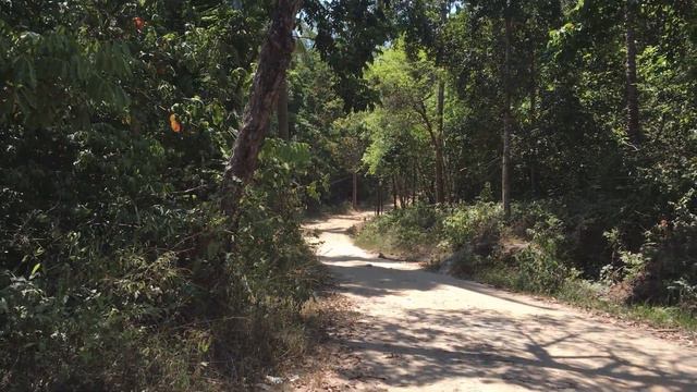 Пляж мечты - Bottle Beach Панган. Как добраться до Ботл Бич на байке | Полный обзор смотреть онлайн