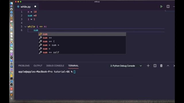 [12] While Loop in Python in Example | Python for Beginners