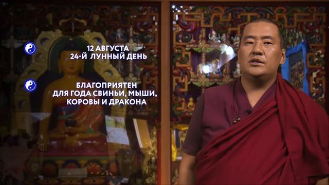 Зурхай на 12.08.2020 смотреть онлайн