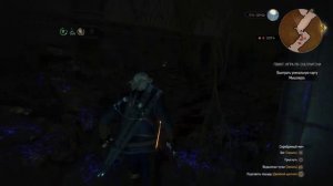The Witcher 3: Чудотворный северный ветер