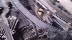 Дроссельная заслонка и трос газа Rover 75