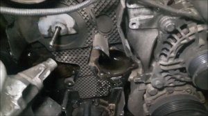 vw bora 1.9tdi how to change timing belt with hydraulic tensioner