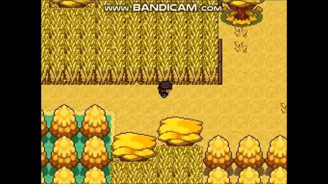 Pokemon Empyrean Walkthrough Part 76 смотреть онлайн