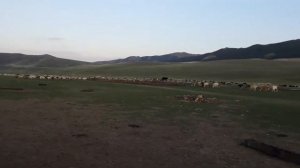 Саглы(Респуплика Тыва)