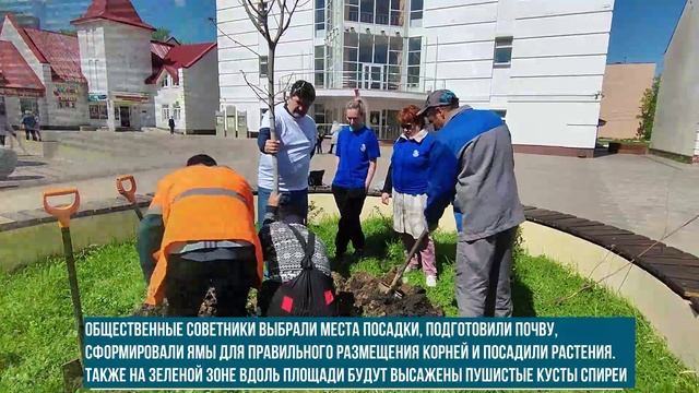 ТиНАО, пос. Рязановское. Проект по озеленению территорий в поселении Рязановское