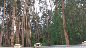 ПРИЗВАТЬ ДЕНЕЖНЫХ КЛИЕНТОВ НА МЁД. ОЧЕНЬ СИЛЬНЫЙ ЗАГОВОР. ДЛЯ ВСЕХ. ВЕДЬМИНА ИЗБА ▶️ ИНГА ХОСРОЕВА