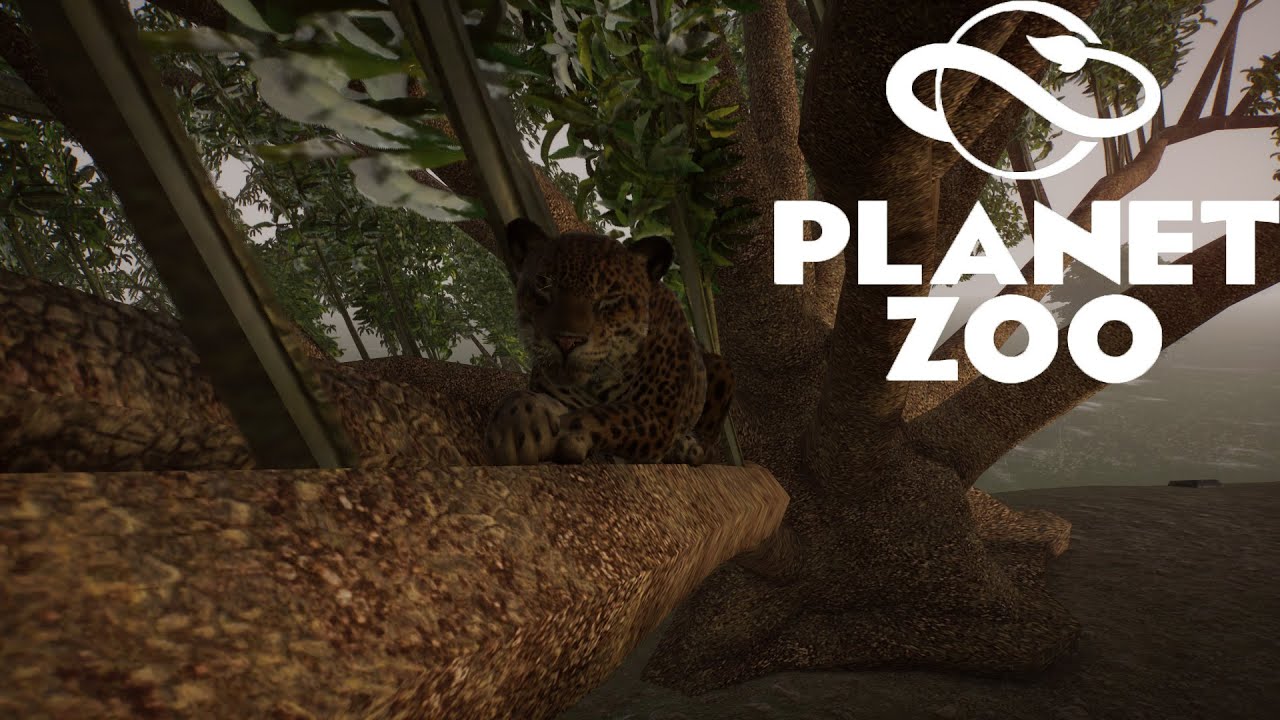 Planet Zoo S1 E7 - Пополняем разнообразие кошачих