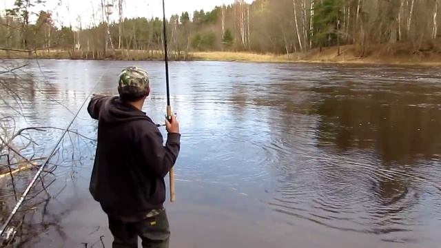 Весенняя ловля плотвы на поплавок. ч1 смотреть онлайн