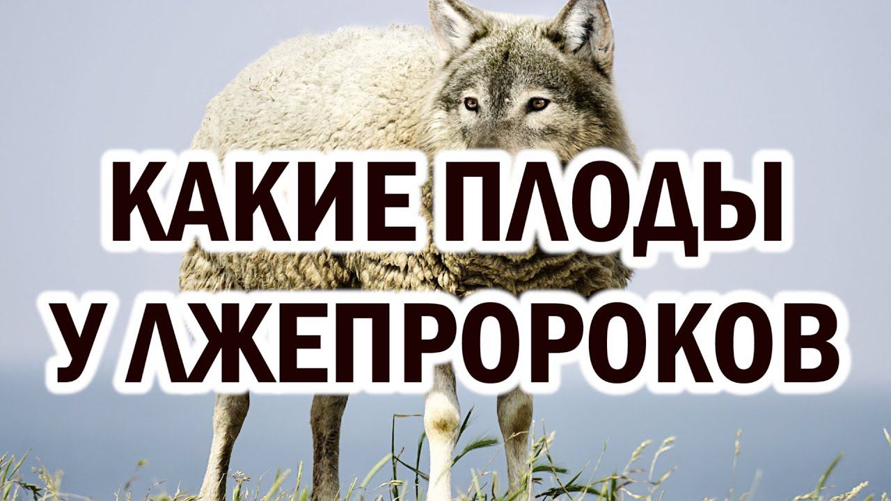 Какие плоды у лжепророков?