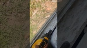 DeWalt vacuum dcv501 h