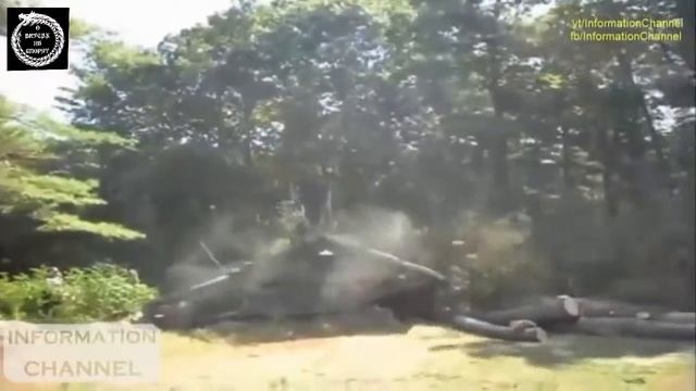 Идиоты пилят деревья / Idiots sawing trees