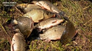 Календарь рыбака на эту неделю с 23  по 31 Октября 2023 Прогноз клева рыбы Лунный Календарь рыбака!