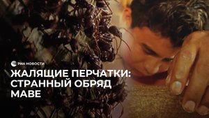 Жалящие перчатки: странный обряд маве
