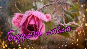 Сергей Сухачёв - Безумно Люблю.mp4