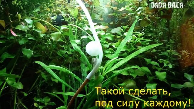 CO2 диффузор из веточки рябины в действии! Распылитель углекислого газа, микро пузырьки смотреть онлайн