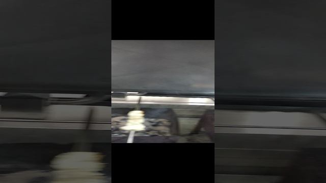 Шашлык из зубатки. Данилов монастырь
