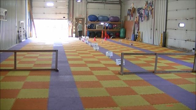 Gibson L1 C16 смотреть онлайн