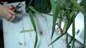 флористика Оксана Астахова