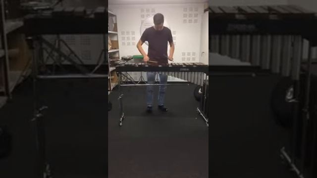 Порги и Бесс, Жарптица, Каммерная музыка Хиндемит. смотреть онлайн