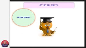 Биология, 7-й класс, Строение и функции листа