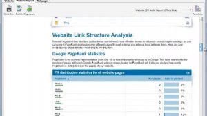 How To Use WebSite Auditor