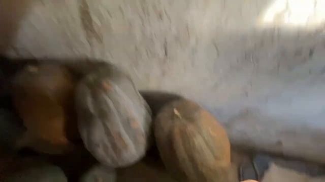 НАШ ОСЕННИЙ ДВОР. 7 НОЯБРЯ. КЛЕТКИ СВОИМИ РУКАМИ. смотреть онлайн