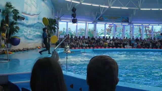 Дельфинарий "Немо" Минск 7 (27.04.13) смотреть онлайн