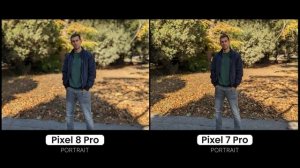 Pixel 8 Pro vs Pixel 7 Pro: Camera Test, Video Quality Comparison