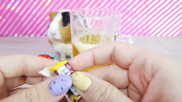 10 Самых Крутых Антистрессов Для Школы от Свинки Бузи Распаковка Эксперименты
