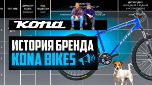 Велосипеды KONA BIKES: История / Ассортимент / Позиции в России / Кризис // ПРО [БРЕНДЫ]