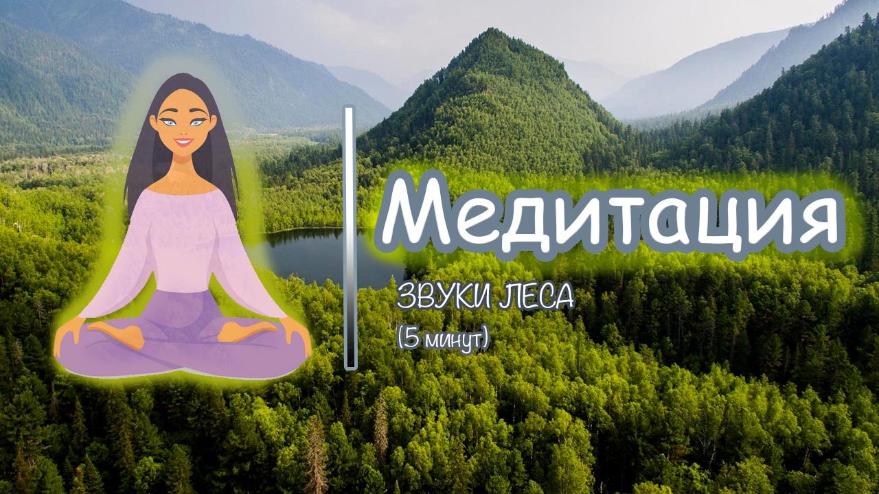 Включи медитацию громкость. Медитация звуки леса. Медитация 5 минут. Звуки для медитации. Медитация в лесу.